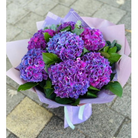 Buchet Hortensia Mov BH10