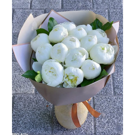 Buchet 15 Bujori Albi BP11