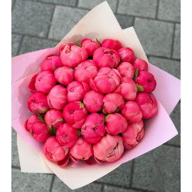 Buchet bujori Coral Sunset BP12